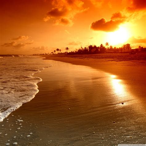 Beach Sunrise Wallpaper (70+ images)