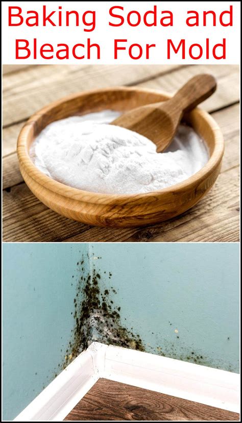 Baking Soda and Bleach For Mold | Baking Soda Uses and DIY Home Remedies.