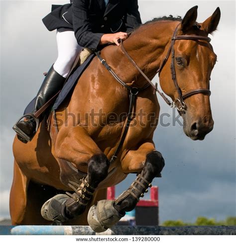 Horse Jumping Competition Stock Photo (Edit Now) 139280000