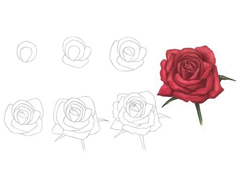 How To Draw A Rose For Beginners With Pencil Step By Step - Infoupdate.org