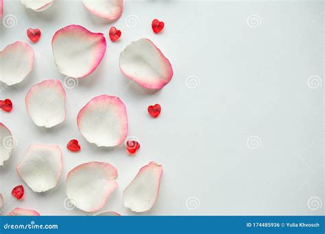 White Rose Petals on White Background. Stock Photo - Image of valentin ...