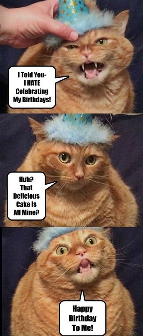 Funny Cat Happy Birthday Cat Meme