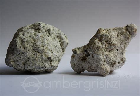 How to identify ambergris, ambergris shape, colour, size and smell ...