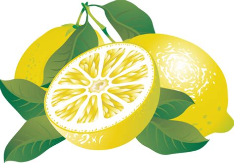 Lemon Slice Clipart | Free download on ClipArtMag