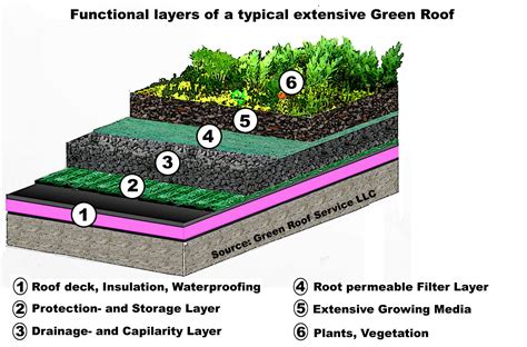 16 Green Roof Design Details Images - Green Roof Detail Drawing, Green ...