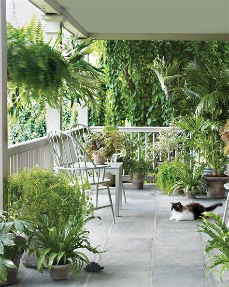 30+ Front Porch Plants Ideas – DECOOMO