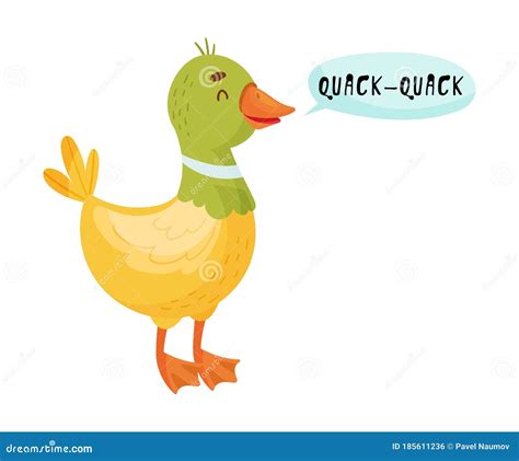 Quack. Vector Poster With Hand Drawn Illustration Of Duck Isolated ...