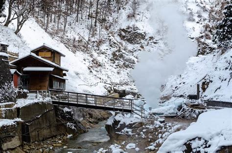 Adorable Fluffy Snow Monkeys Bathing in Hot Springs at Jigokudani Yaen ...