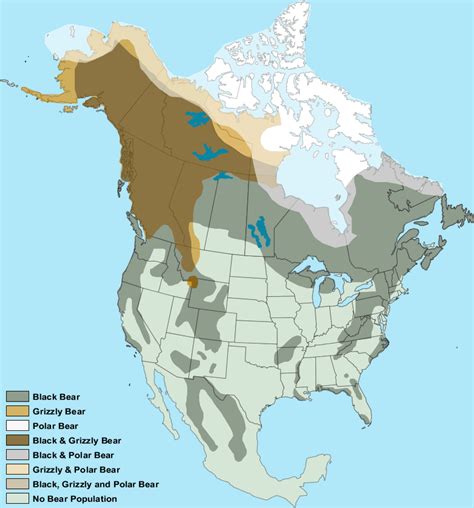 Map of where bears live in North America