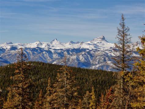 One Day in America: Snowshoeing near Lake City, Colorado