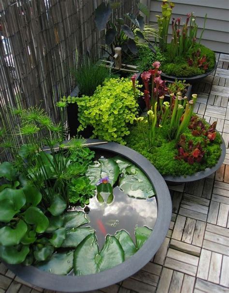 Diy mini ponds in a pot 6 | Jardin d'eau, Idées jardin, Amenagement jardin