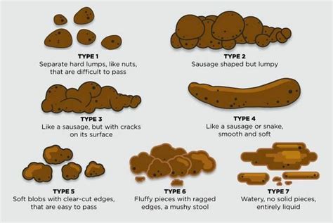 Types Of Stool