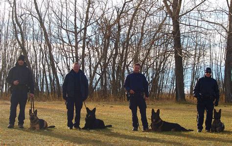 First RCMP Dogs To Detect Human Remains Finish Training - Blue Line