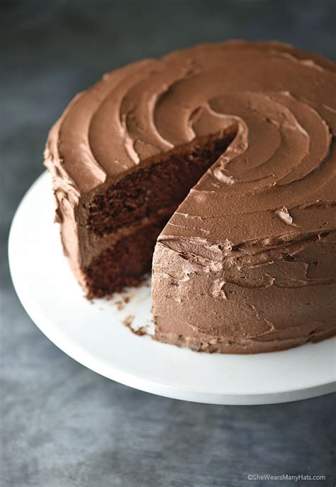 Perfect Chocolate Cake Recipe | She Wears Many Hats