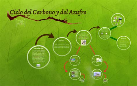 Ciclo del Carbono y del Azufre by sergio serrano on Prezi