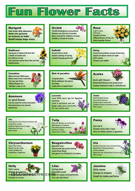 Printable Flower Trivia Questions And Answers | Printable Questions And ...