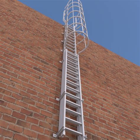 Ladders exterior safety stairs architecture 3D Model animated rigged ...