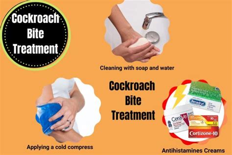 Cockroach Bite Symptoms and Treatment at Home - A Visual Guide - The ...