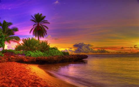 Beach Sunrise Wallpaper - WallpaperSafari