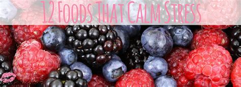 12 Foods That Calm Stress -CatchyFreebies