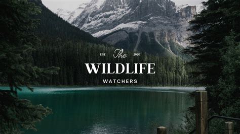 Minimalist Photo Nature YouTube Banner - Templates by Canva