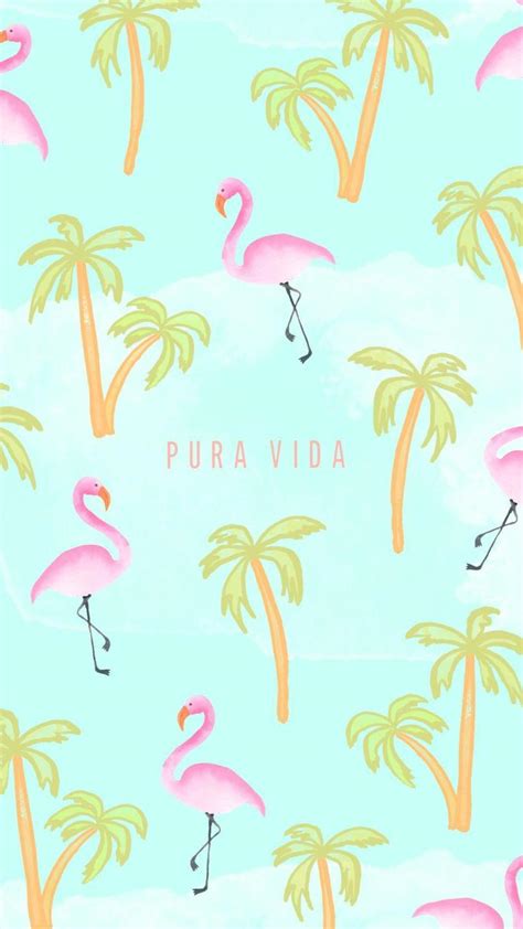 Pura Vida Wallpapers - Wallpaper Cave