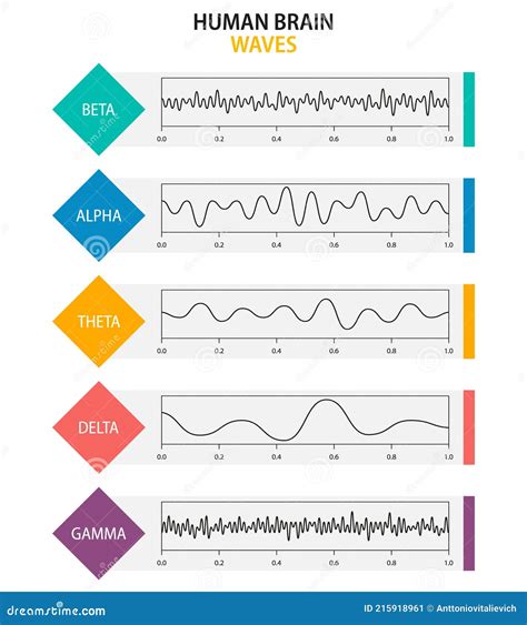 Set of Brain Waves Oscillation. Beta, Alpha, Theta, Delta, Gamma Brain ...