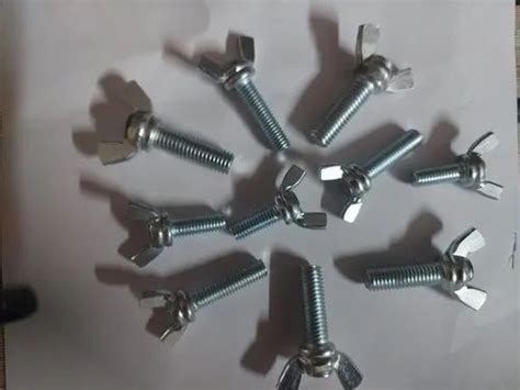 Stainless Steel Wing Bolt at best price in Faridabad | ID: 24865265262