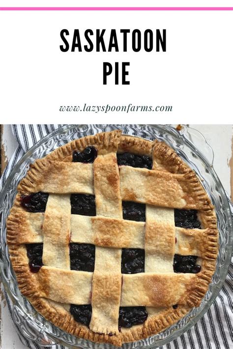 Saskatoon Pie Recipe | Berry pie recipe, Easy pie recipes, Saskatoon ...