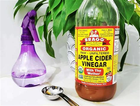 Does Vinegar Kill Mold? - Clean and Tidy Living