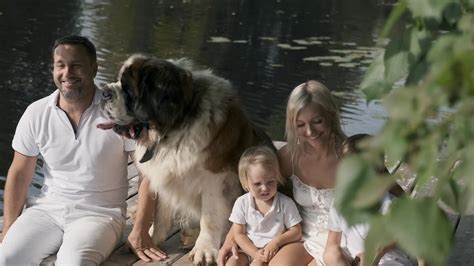 Family With Dog Stock Video Footage for Free Download