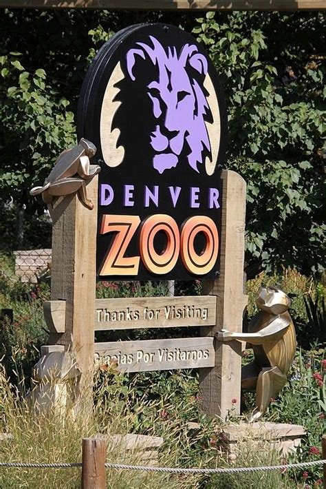 Denver Zoo | Denver zoo, Denver travel, Colorado vacation