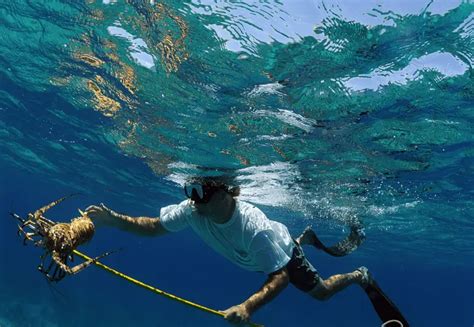 32 Must-Know Spearfishing Tips (For Beginners to Advanced)