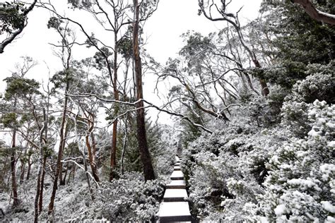 hiking cradle mountain winter - Awesome Explorations