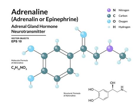 Adrenaline (adrenalin, epinephrine) neurotransmitter molecule. Used as ...