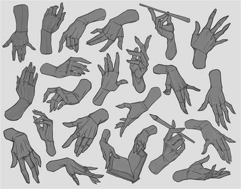 Hand Studies | Hand drawing reference, Figure drawing reference, How to ...