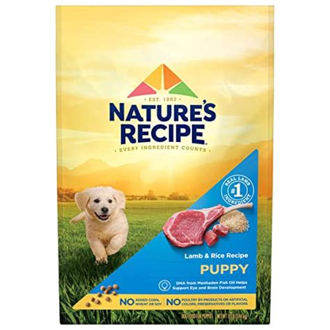 Unleash the Healthiest Canine with our Top-rated Nature's Recipe Dry ...