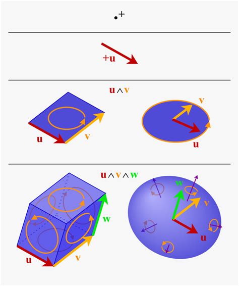 Tensor Vs Vector, HD Png Download - kindpng