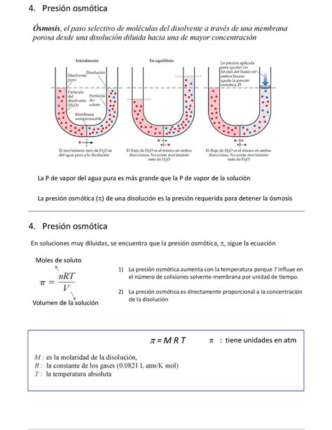 2 Propiedades Coligativas 4 Presión Osmótica Ósmosis El Paso