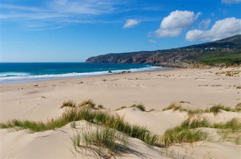 150+ Praia Do Guincho Stock Photos, Pictures & Royalty-Free Images - iStock