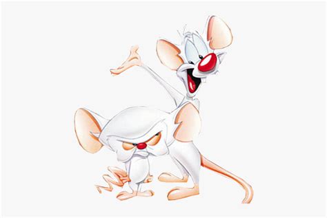 Pinky And The Brain Animaniacs , Free Transparent Clipart - ClipartKey