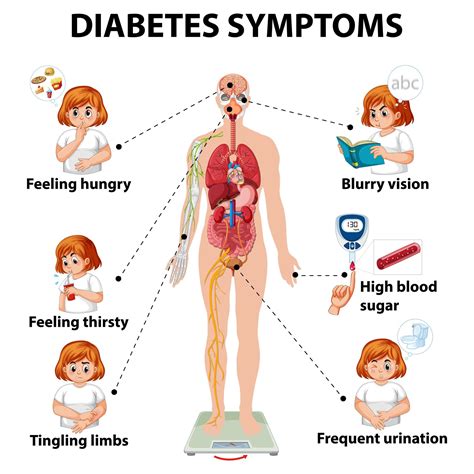 Diabetes symptoms infographic 1426646 Vector Art at Vecteezy