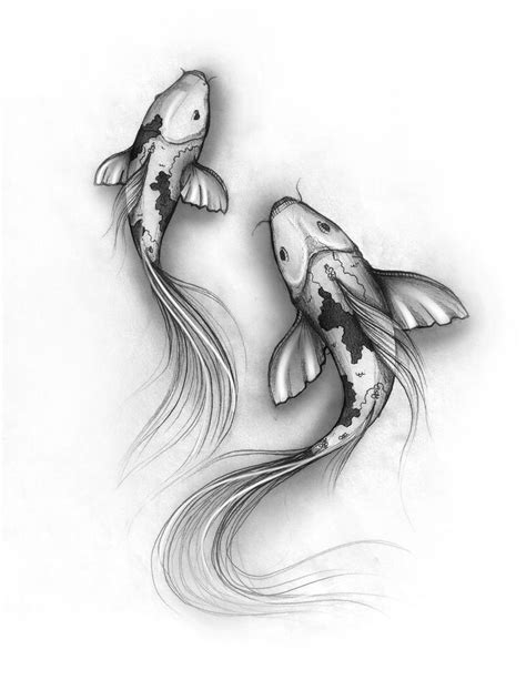 koi fish sketch by denxio on DeviantArt