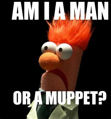 Beaker muppet Memes