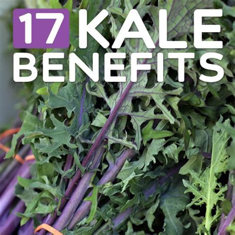 17 Reasons to Eat More Kale | Health Wholeness