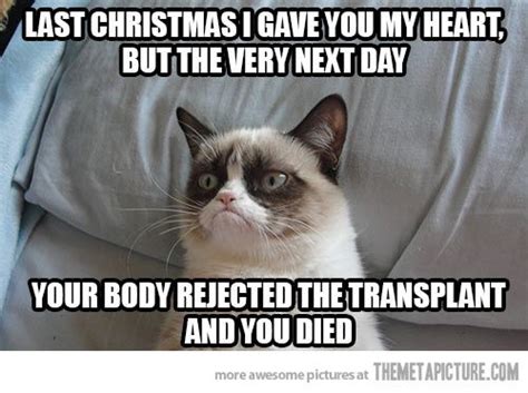 Christmas Cat Quotes Funny - ShortQuotes.cc