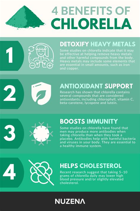 Chlorella Benefits, Uses, Dosage, and Side Effects | A Beginners Guide