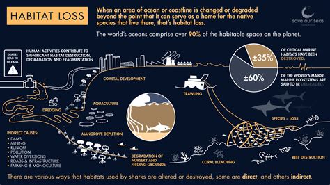 How does habitat loss affect sharks and rays? - Save Our Seas Foundation