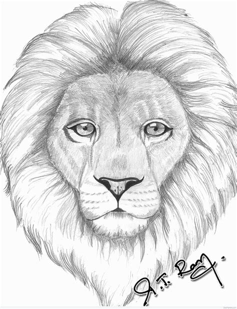 easy drawing of a lion face How to draw a lion face