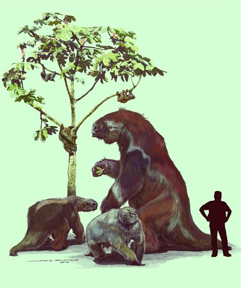 Prehistoric Giant Sloth